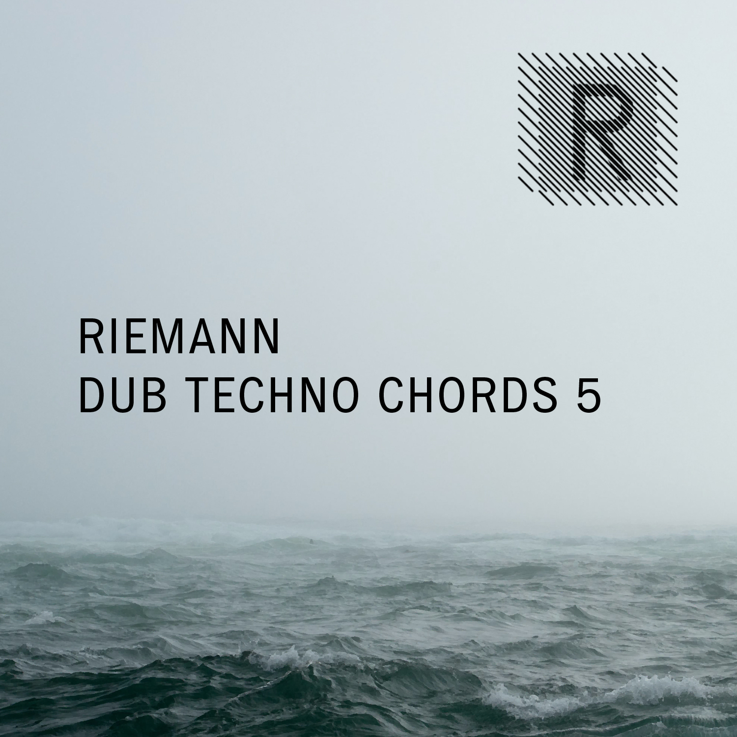 Riemann - Dub Techno Chords 5