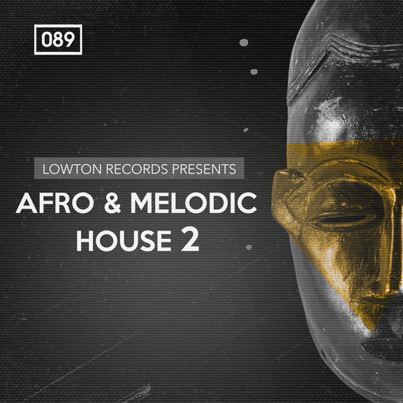 Bingoshakerz - Afro + Melodic House 2 by Lowton Records