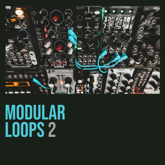 Shed Skin Records - Modular Loops 2 