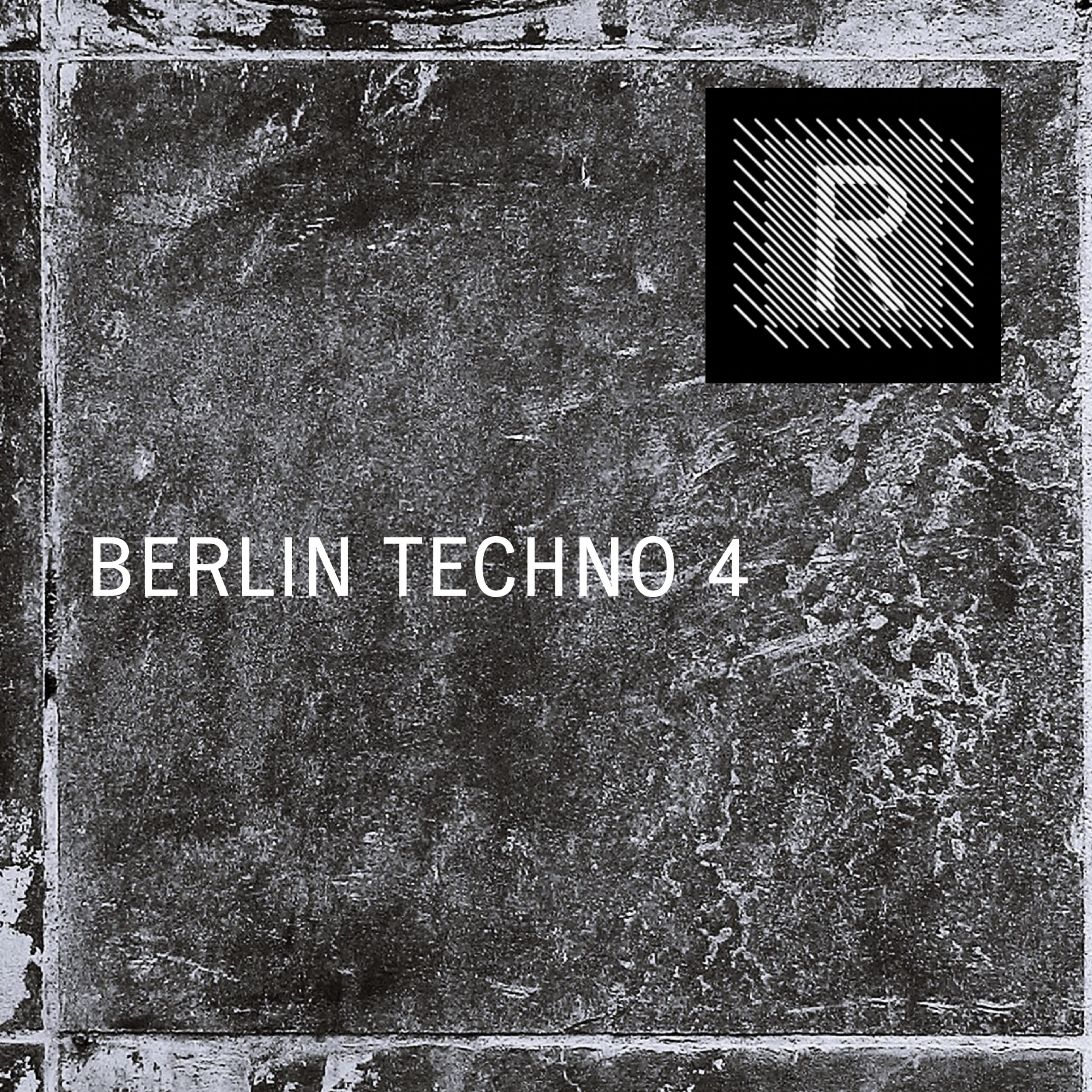 Riemann - Berlin Techno 4