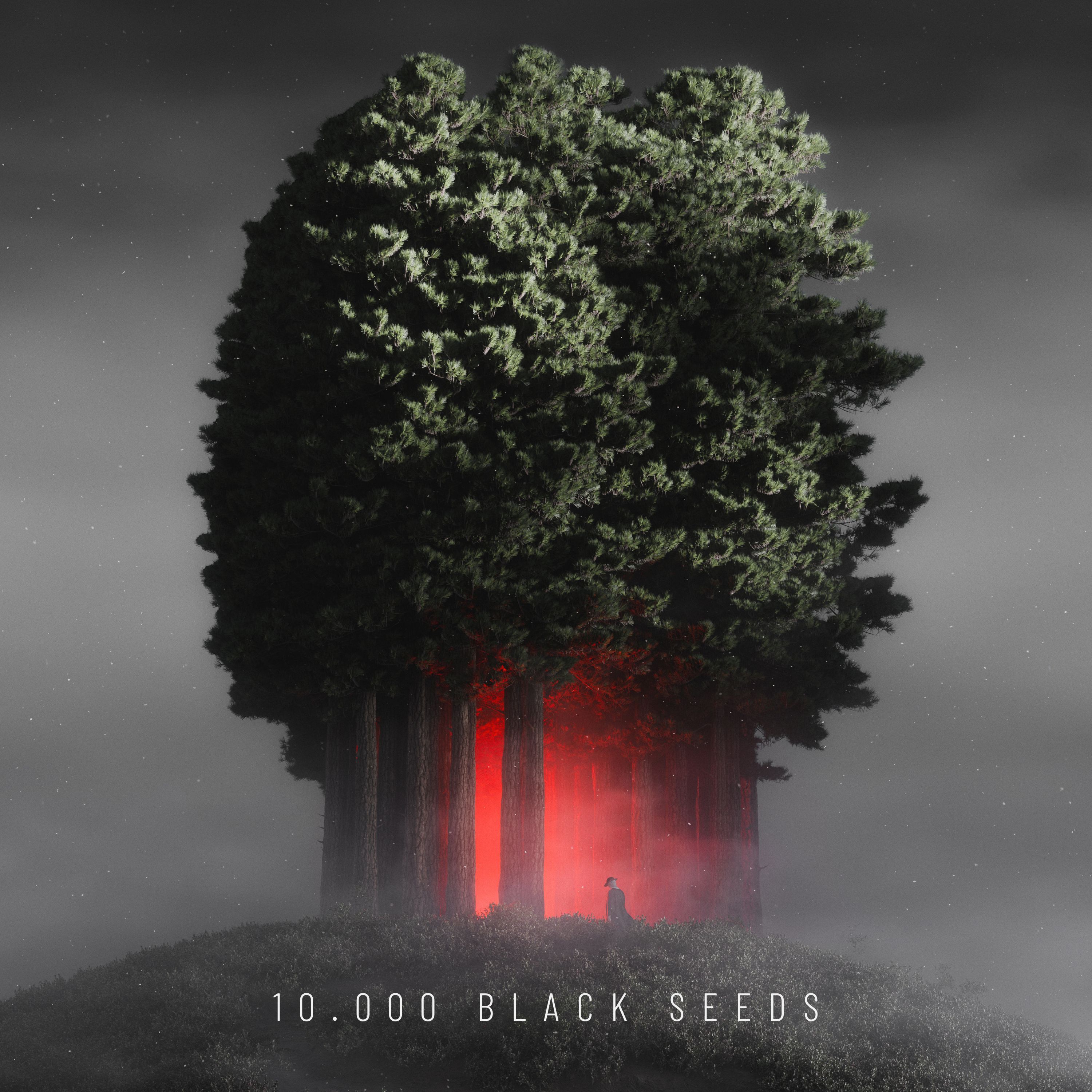Björn Torwellen - 10 000 Black Seeds - 2x12" limited Vinyl