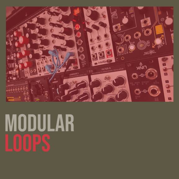 Shed Skin Records - Modular Loops 1 
