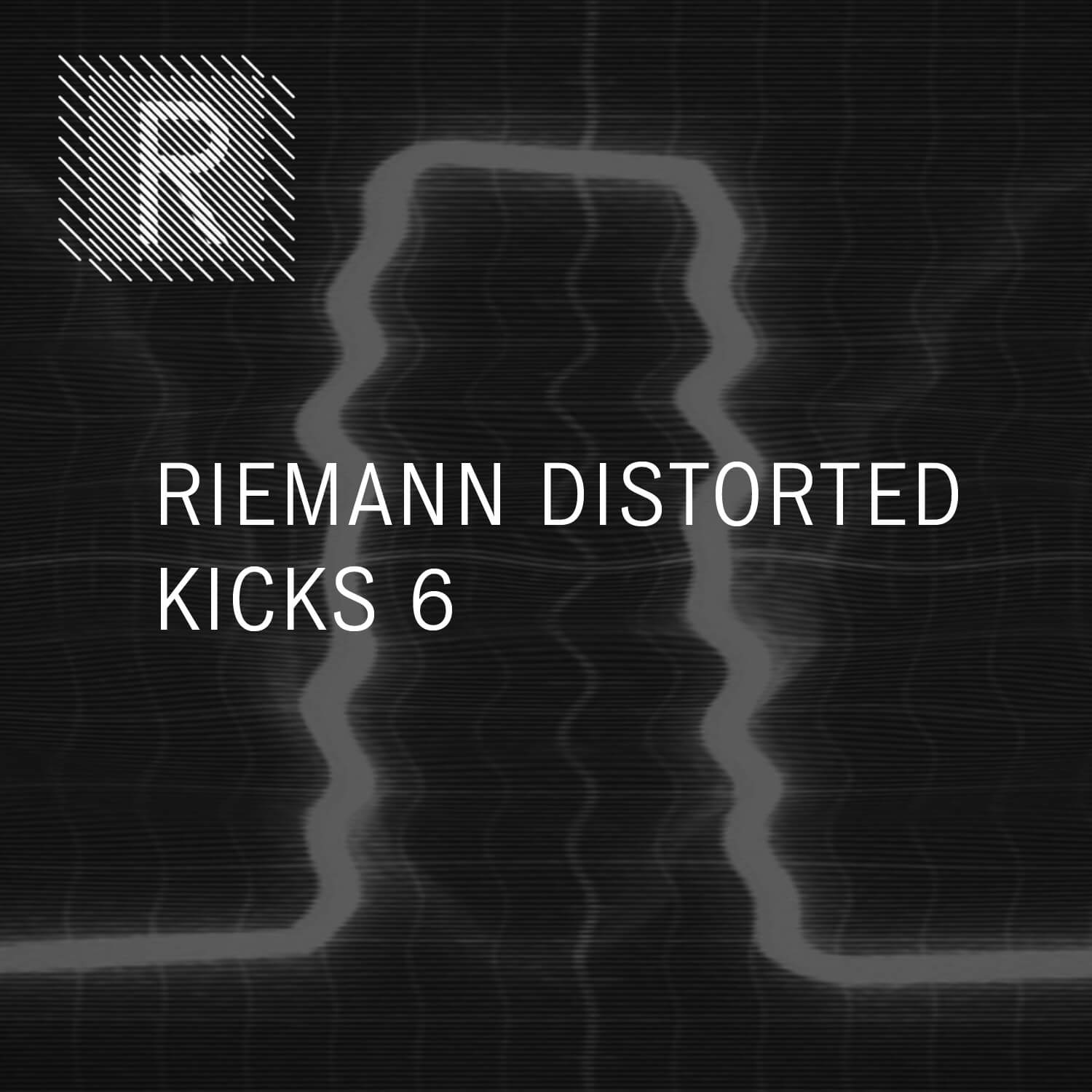 Riemann - Distorted Kicks 6