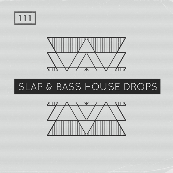 Bingoshakerz - Slap + Bass House Drops 