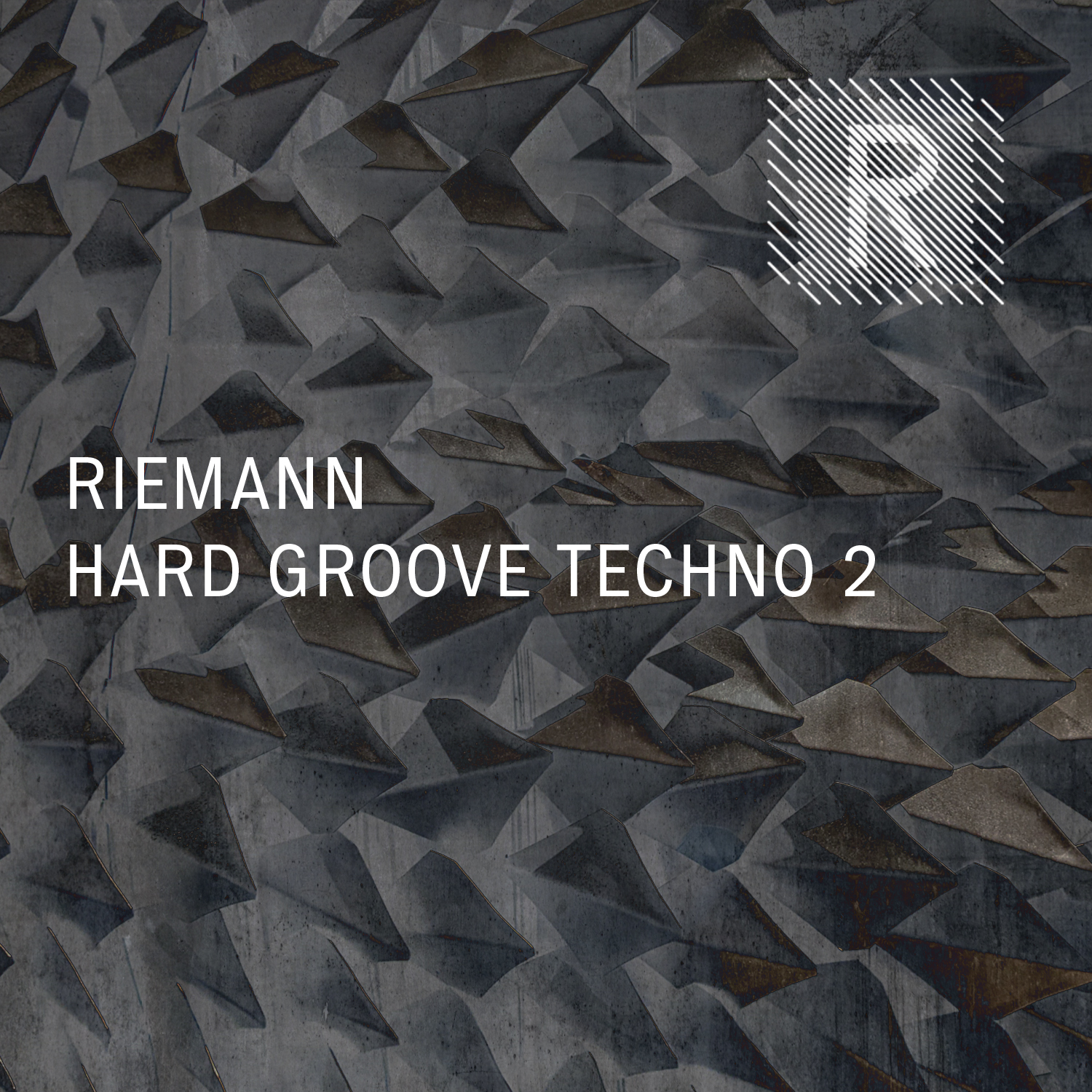 Riemann - Hard Groove Techno 2