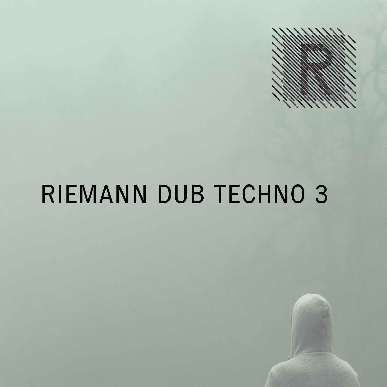 Riemann - Dub Techno 3