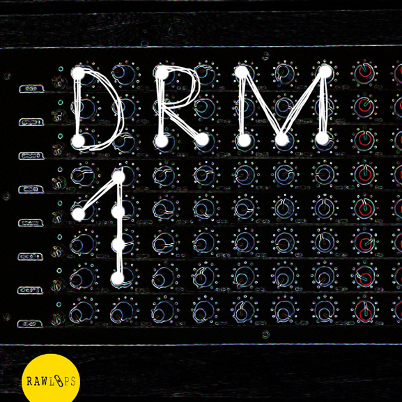 Raw Loops - DRM1 Drum Hits