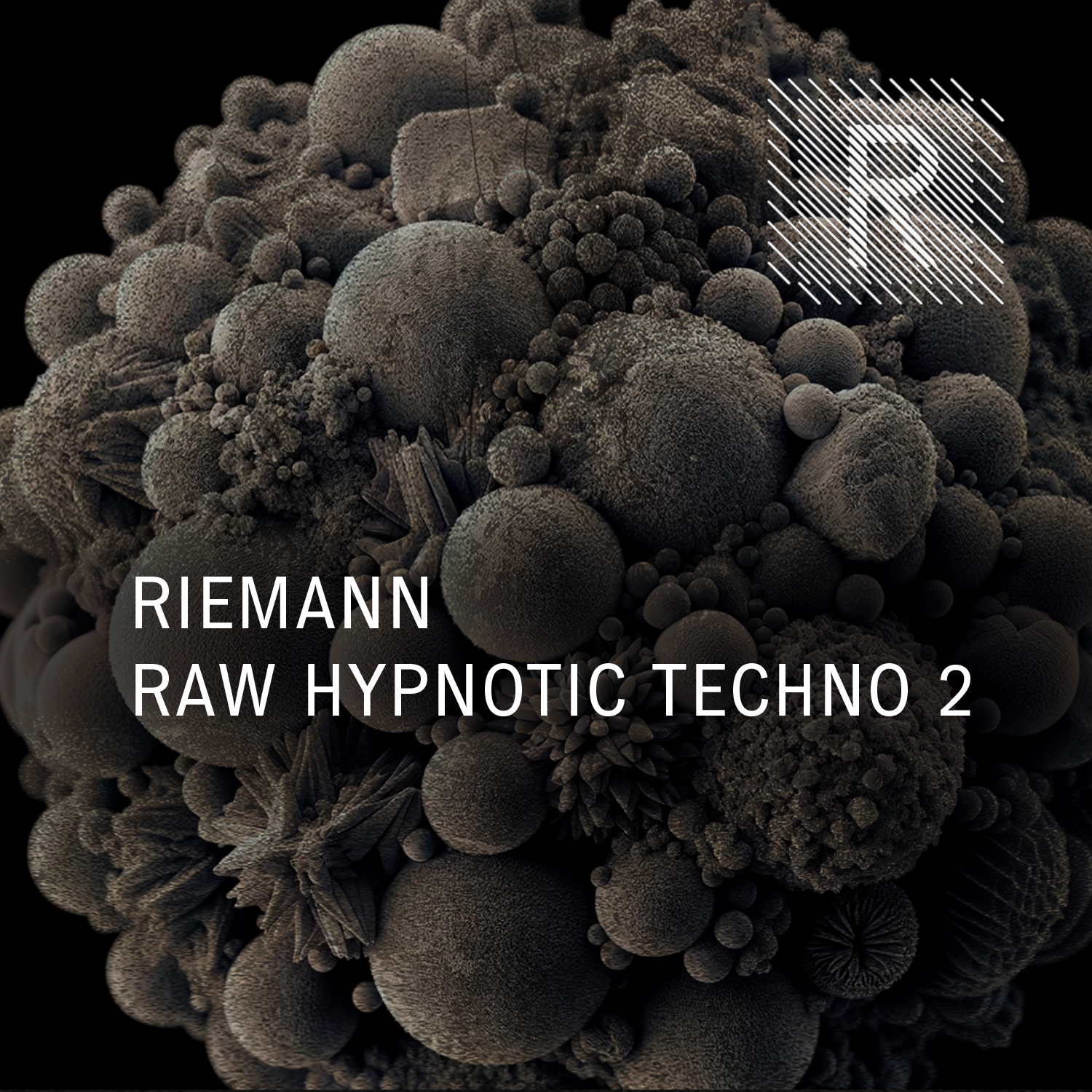 Riemann - Raw Hypnotic Techno 2